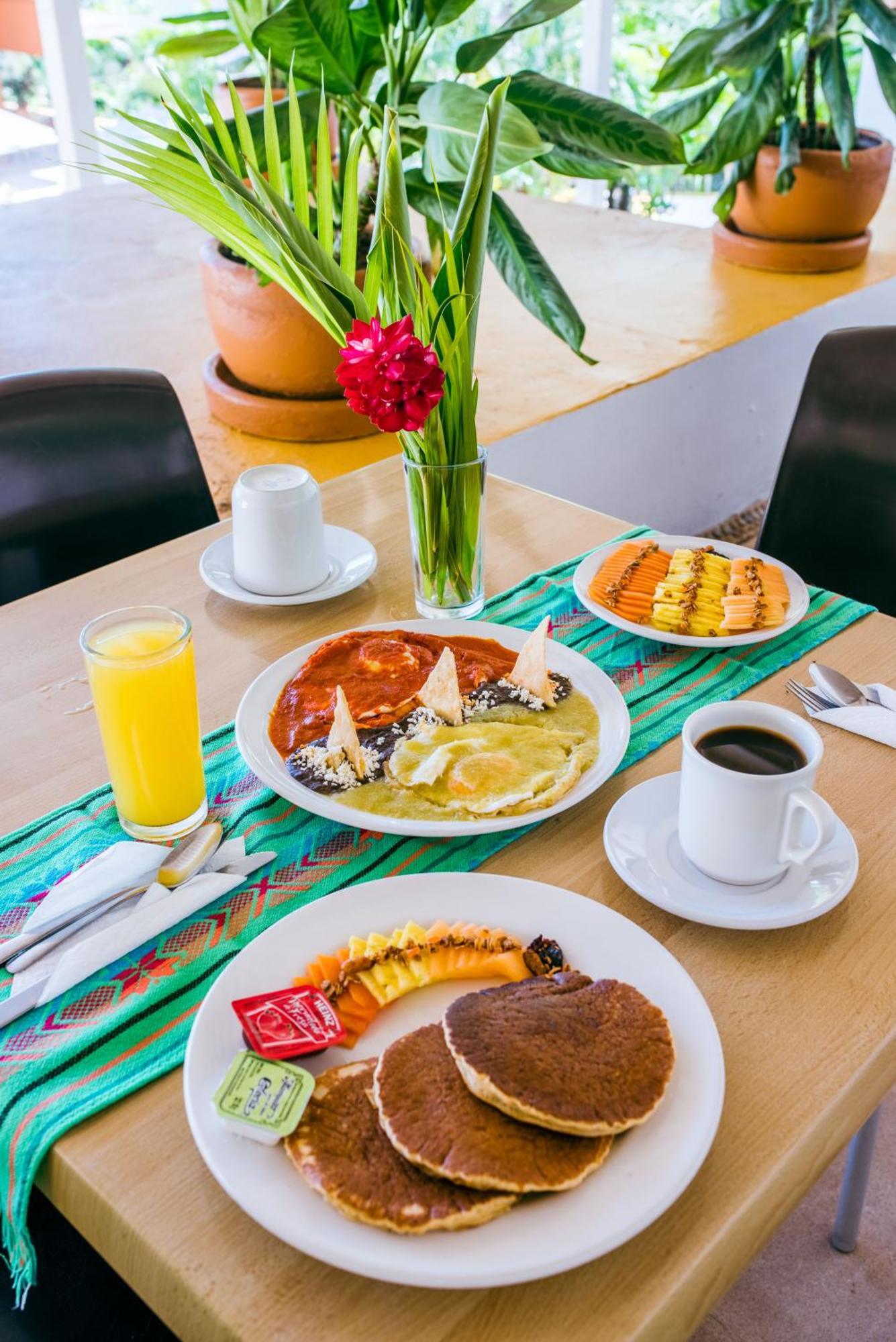 Hotel Ixzi Plus Ixtapa  Zewnętrze zdjęcie