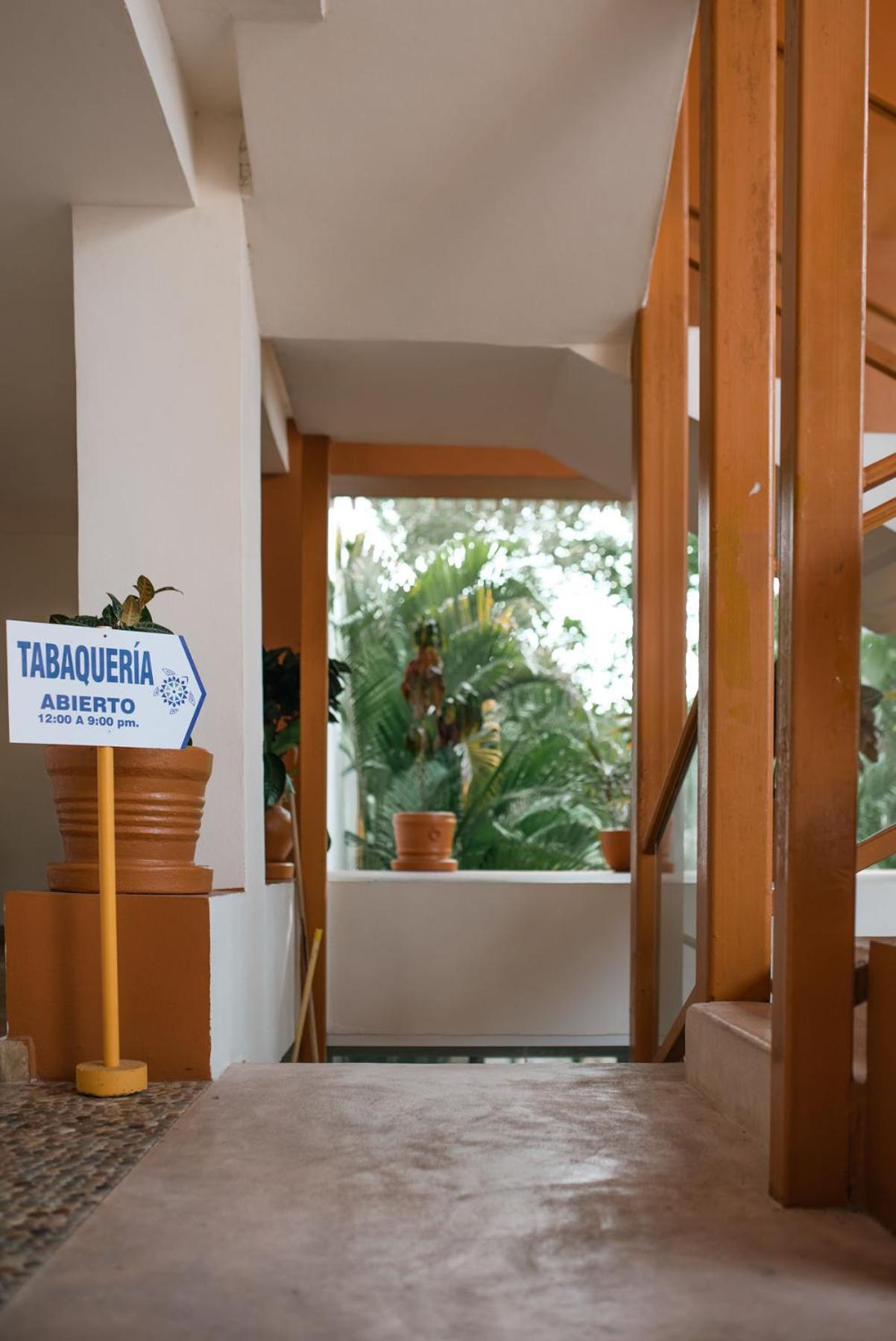 Hotel Ixzi Plus Ixtapa  Zewnętrze zdjęcie