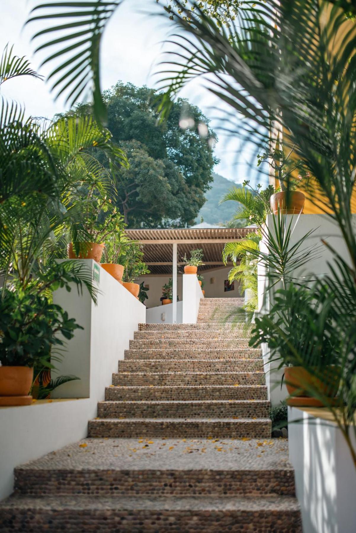 Hotel Ixzi Plus Ixtapa  Zewnętrze zdjęcie